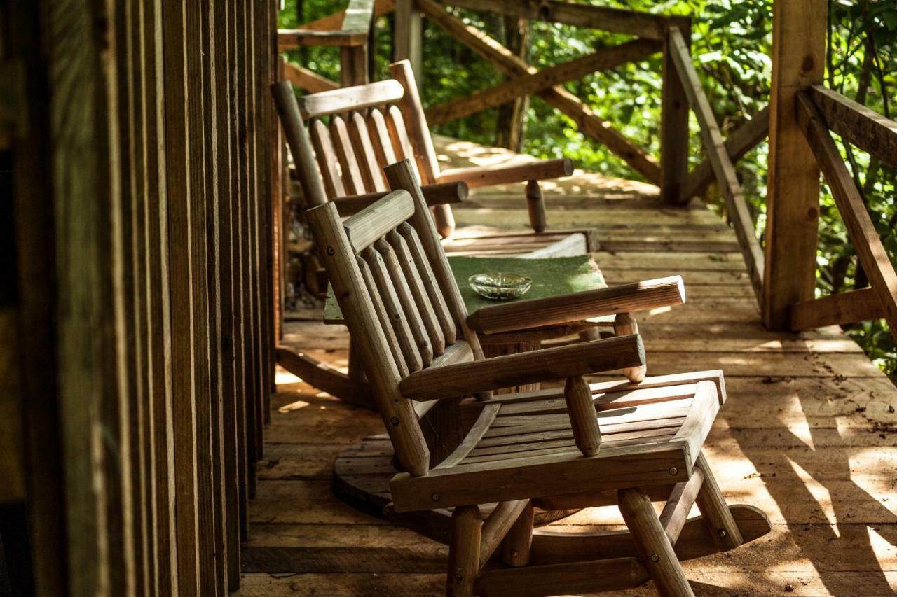 Nolichuckey Bluffs Bed & Breakfast Cabins Greeneville ภายนอก รูปภาพ